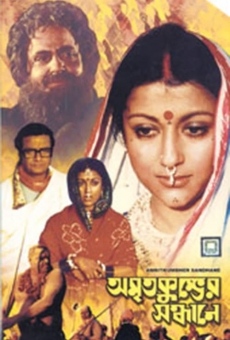 Amrita Kumbher Sandhaney (1982)