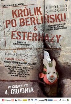 Película: Rabbit à la Berlin