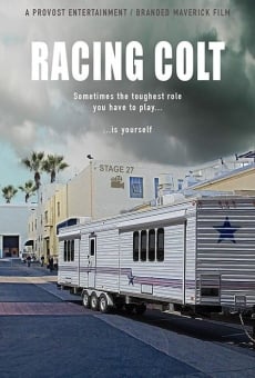 Racing Colt (2018)