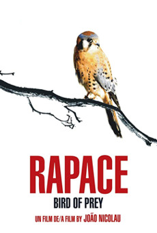 Rapace online streaming