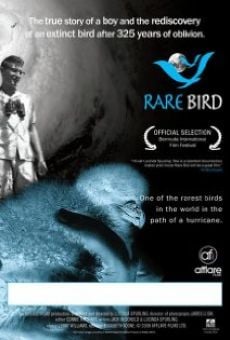 Película: Rare Bird