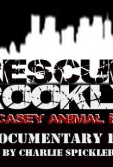 Rescue! Brooklyn on-line gratuito