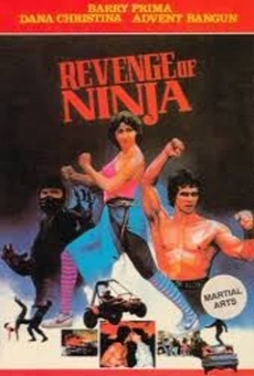 Película: Revenge of the Ninja