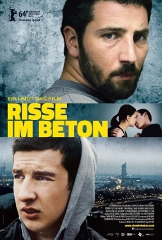 Risse im Beton (2014)