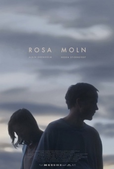 Rosa Moln