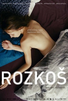 Rozkos (2013)