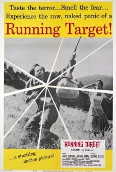 Running Target online