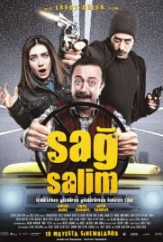 Sag Salim (2012)