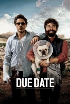 Due Date online free