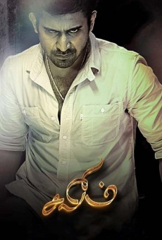 Salim (2014)