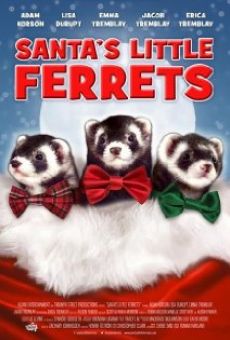 Santa's Little Ferrets