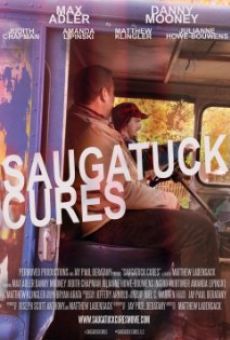 Saugatuck Cures online streaming