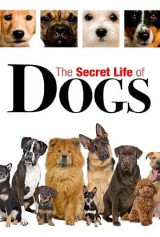 Secret Life of Dogs