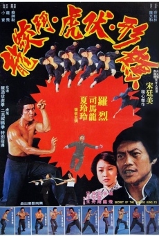 Secret of the Chinese Kung Fu online streaming