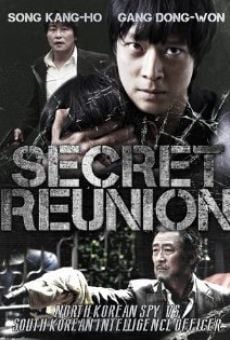 The Secret Reunion online streaming
