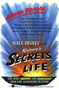 A True-Life Adventure: Secrets of Life (1956)