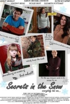 Secrets in the Snow online streaming