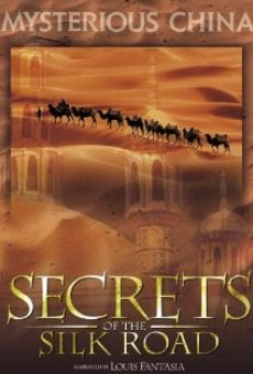 Película: Secrets of the Silk Road