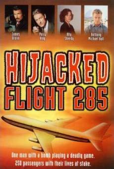 Hijacked: Flight 285 stream online deutsch