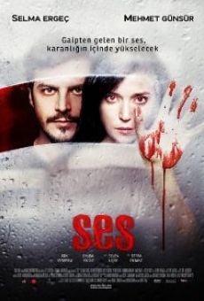 Ses (2010)