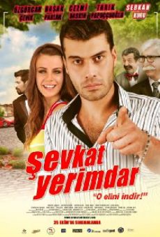 Película: Sevkat Yerimdar