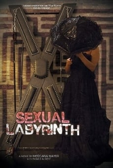 Sexual Labyrinth (2017)