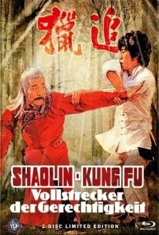 Shaolin Kung Fu Master online streaming