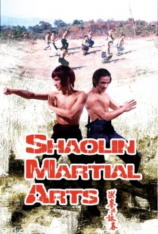 Shaolin Martial Arts online streaming
