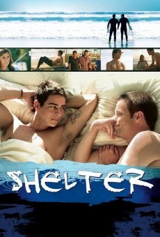 Shelter, película en español