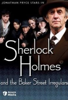 Sherlock Holmes and the Baker Street Irregulars, película en español