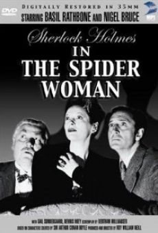 La femme aux araignées