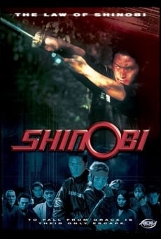 Película: Shinobi: The Law of Shinobi