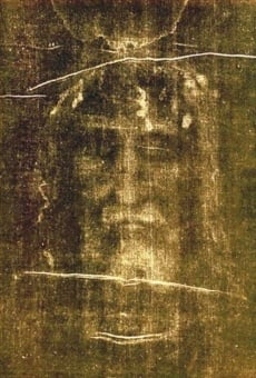 Shroud of Turin Material Evidence (2008)