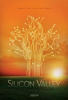 Silicon Valley (The American Experience) (2013)