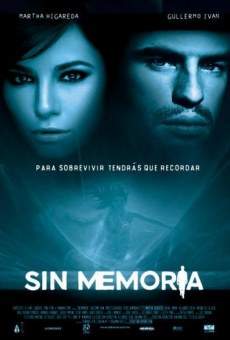 Sin memoria (2010)