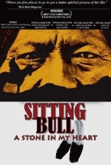 Sitting Bull: A Stone in My Heart