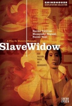 Película: Slave Window