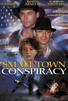 Small Town Conspiracy online streaming