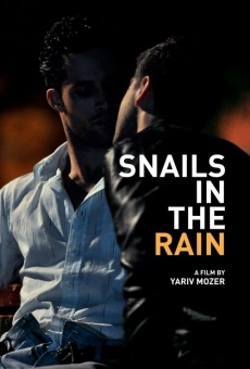 Snails in the Rain gratis