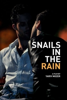 Snails in the Rain online free