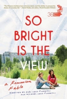 So Bright Is the View (2014)