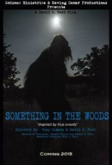 Something in the Woods online streaming