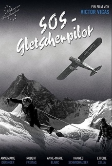 SOS - Gletscherpilot online
