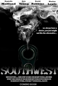 Southwest (2013)
