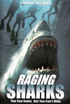 Raging Sharks