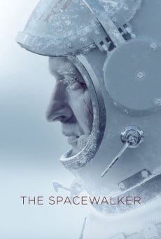 Spacewalker - Il tempo dei primi online streaming