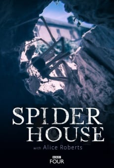 Película: Spider House