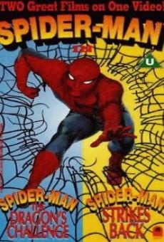 Spider-Man: The Dragon's Challenge on-line gratuito