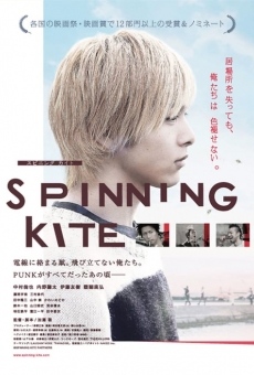 Spinning Kite online