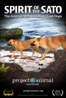 Película: Spirit of the Sato: The Journey of Puerto Rico's Lost Dogs